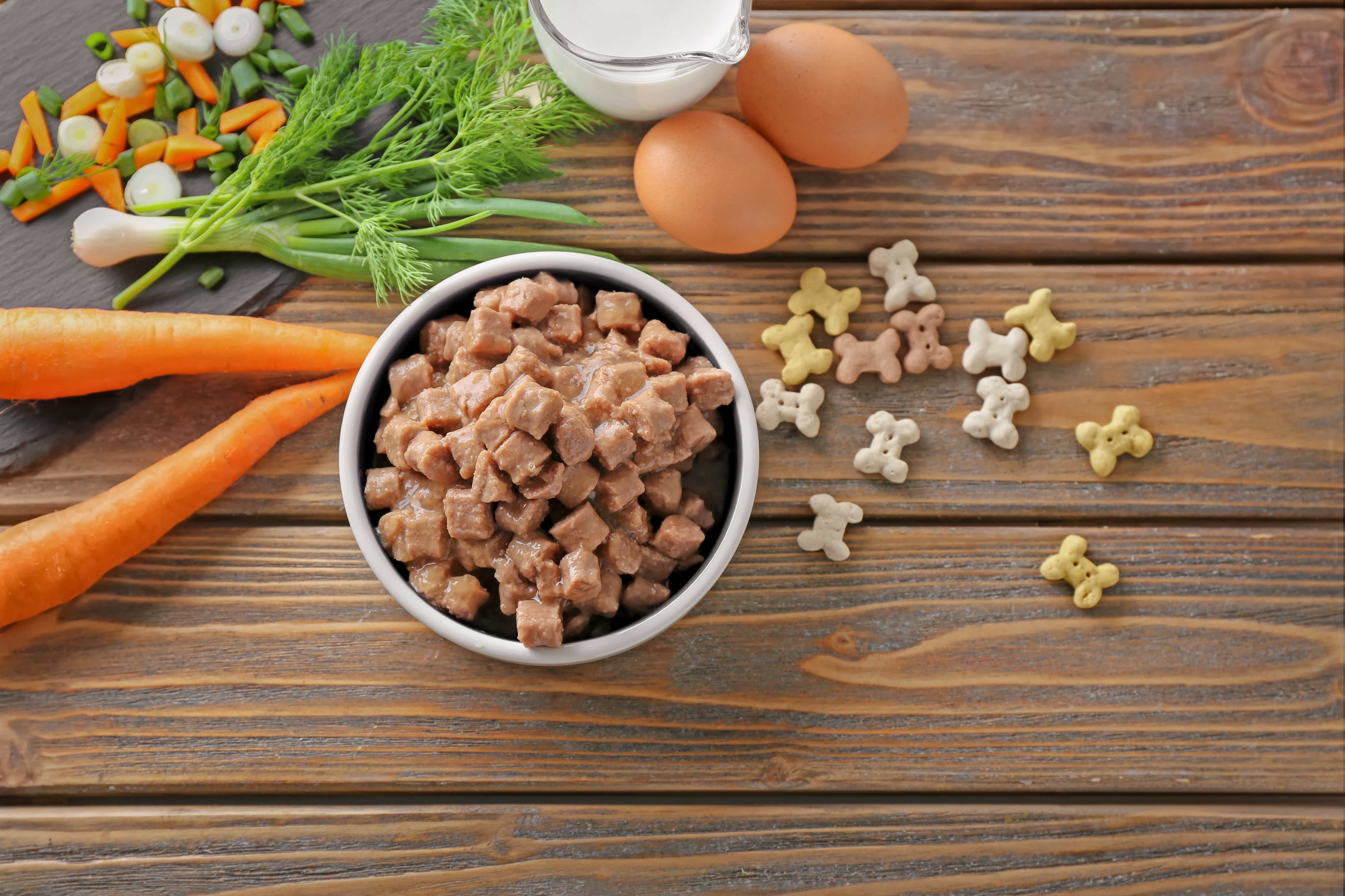 What S The Best Dog Food For Losing Weight